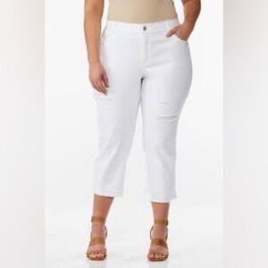 Cato | Plus Size Cropped Jeans White 28W